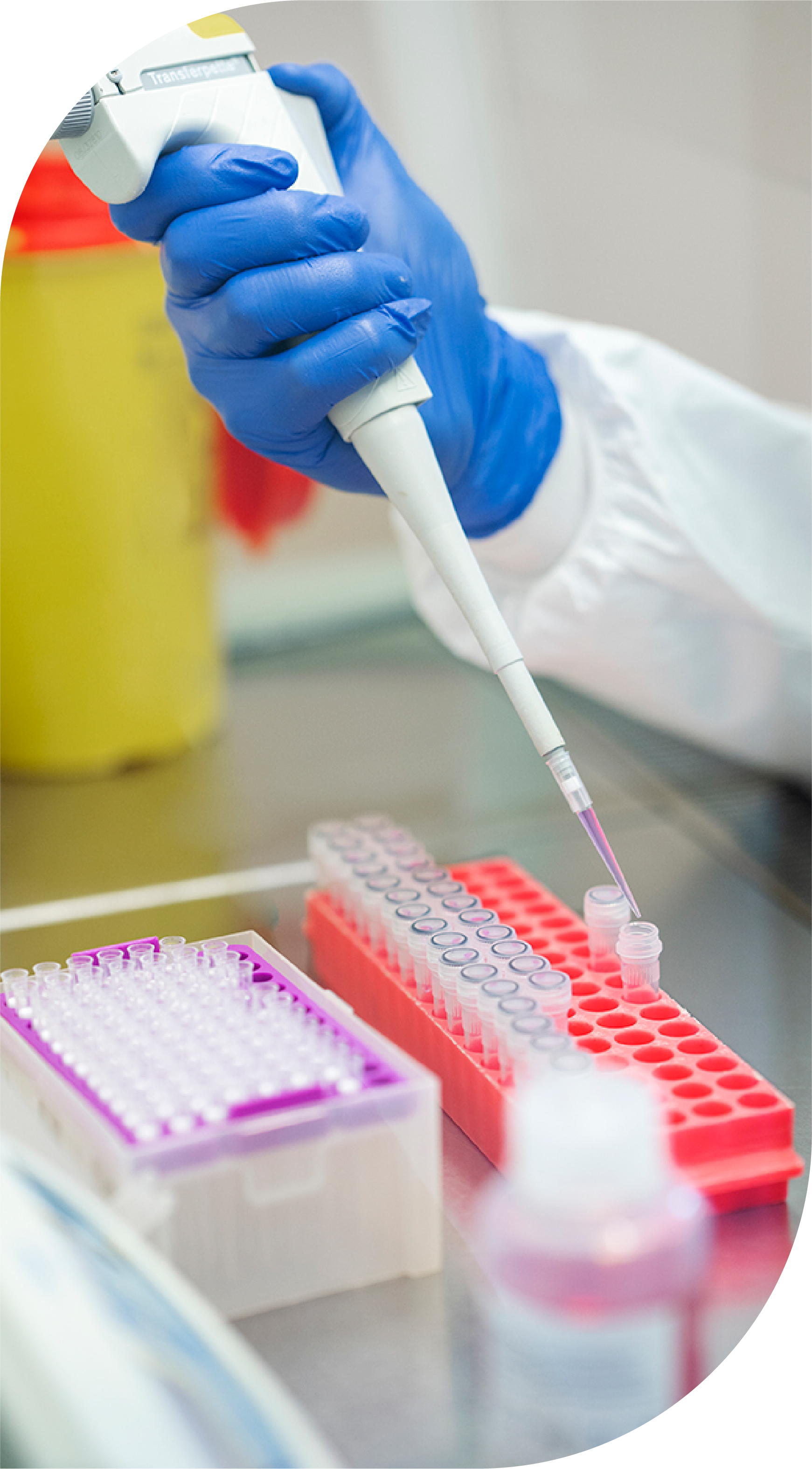 misión prolaif laboratorio análisis clínicos